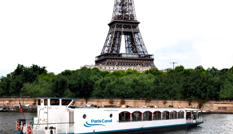 Guepe-devant-Tour-Eiffel-3-1.jpeg